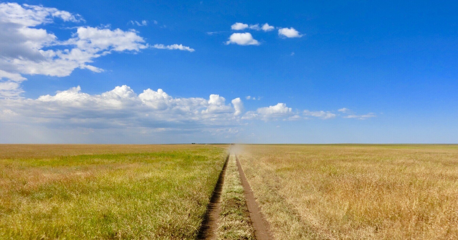 初めてのアフリカ タンザニア それも1人 セレンゲティ国立公園 Tembo Note 初めてのアフリカ タンザニア それも1人 セレンゲティ国立公園 Tembo Note