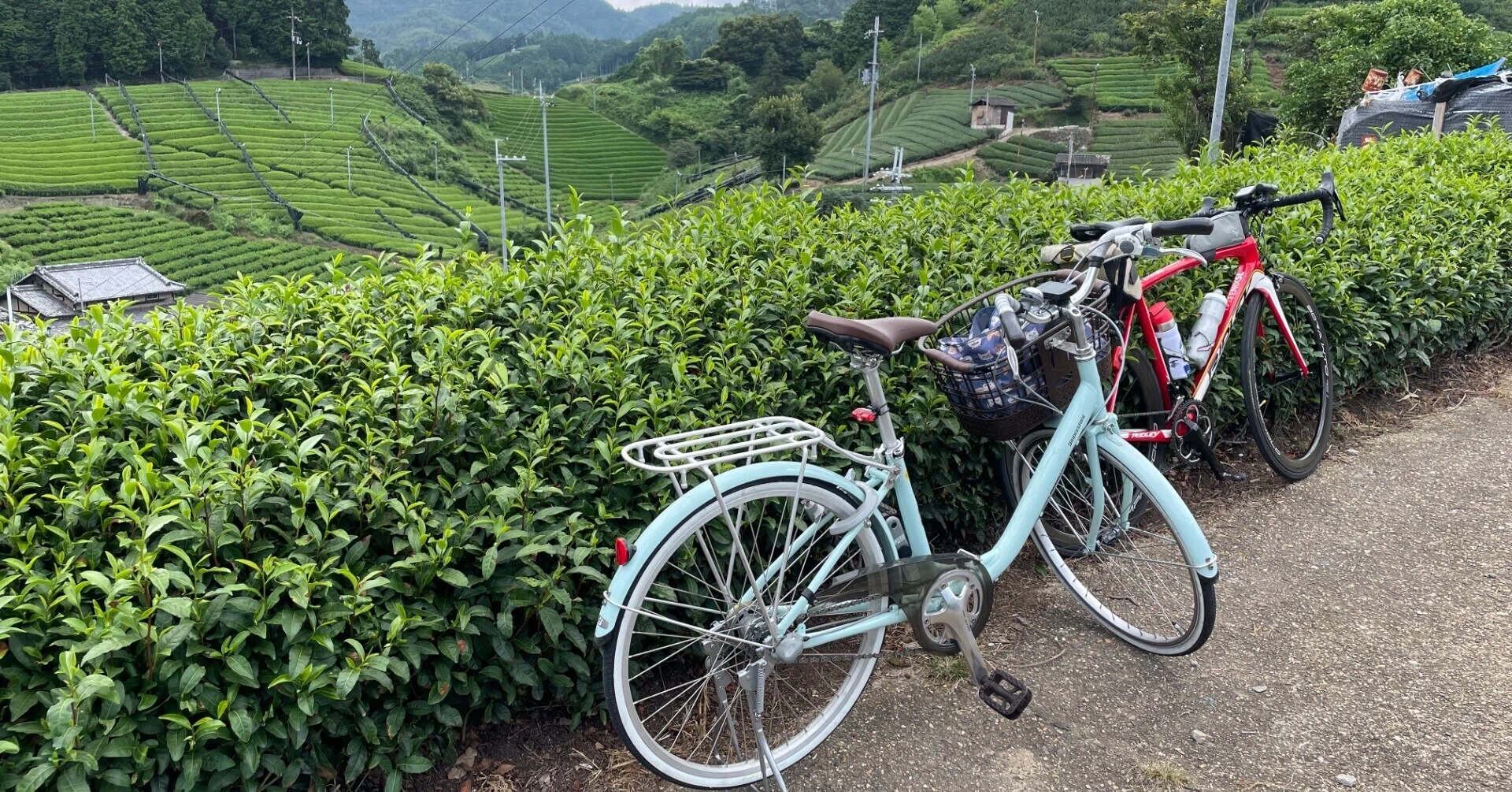 ママチャリに引かれて和束の茶畑へサイクリング｜Dr. Kano