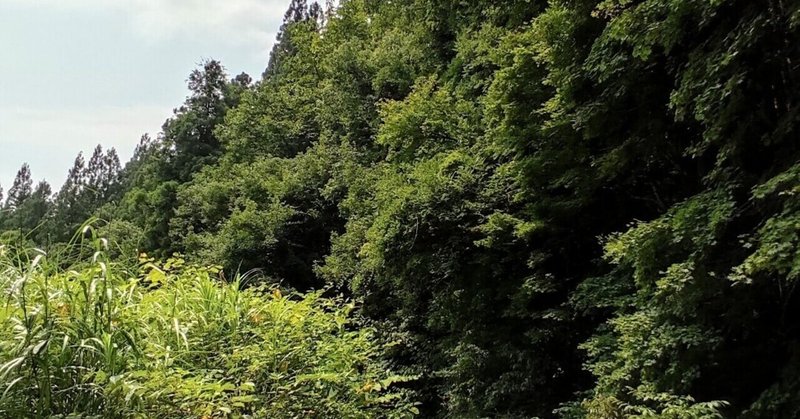入院できない現状でどう乗り切るか。。 「コロナ感染の野々村 ...