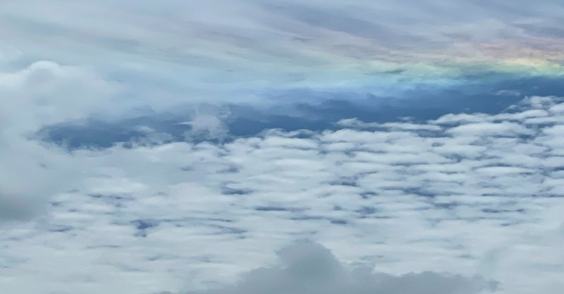 本と共にある私のはたらき方 りばる Note