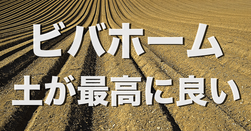ビバホームの 肥料入り花と野菜の培養土 が一番おすすめ 水はけが良くコスパ最強 オリーブ農家の日常 Note ビバホームの 肥料入り花と野菜の培養土 が一番おすすめ 水はけが良くコスパ最強 オリーブ農家の日常 Note