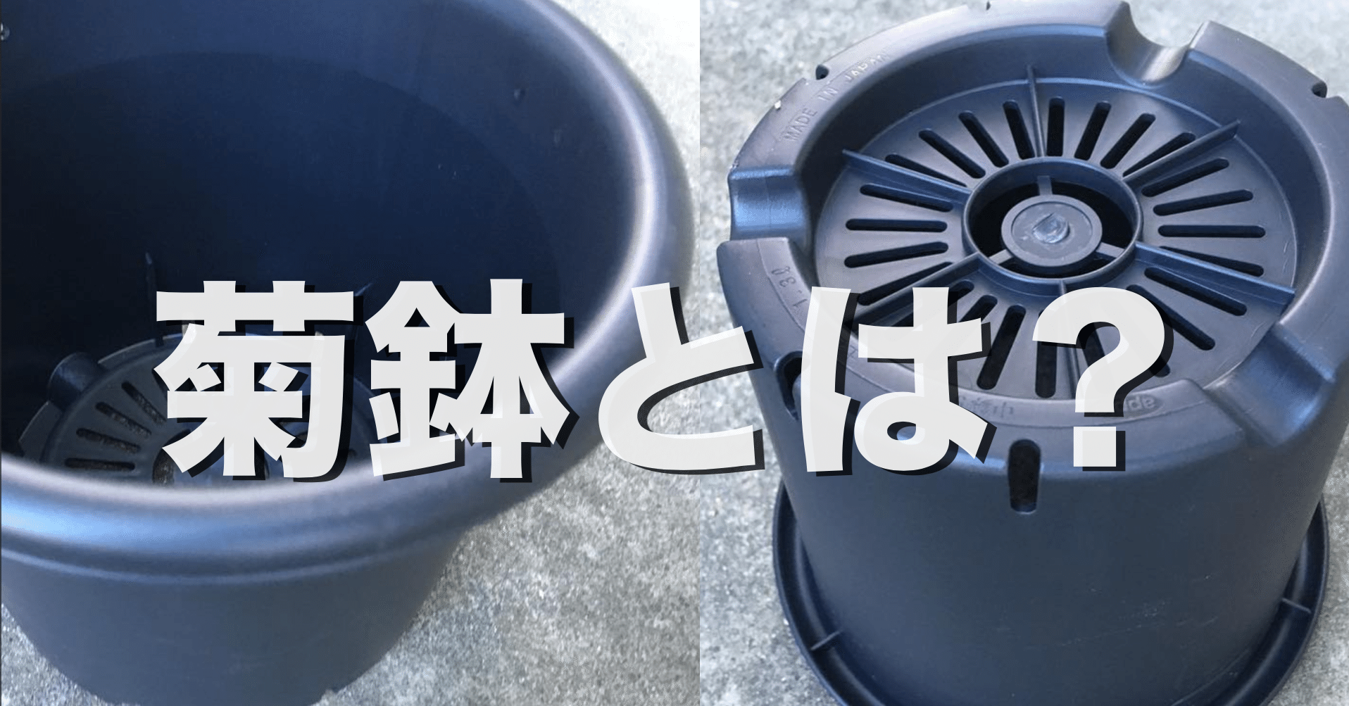 菊鉢とは 水はけが良くアガベ 塊根植物の使用にオススメ オリーブ農家の日常 Note