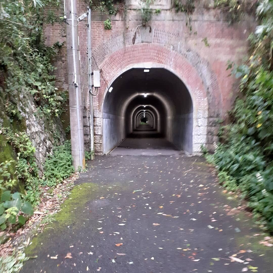 画像14