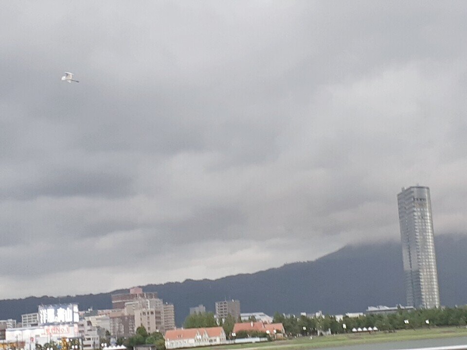 画像16