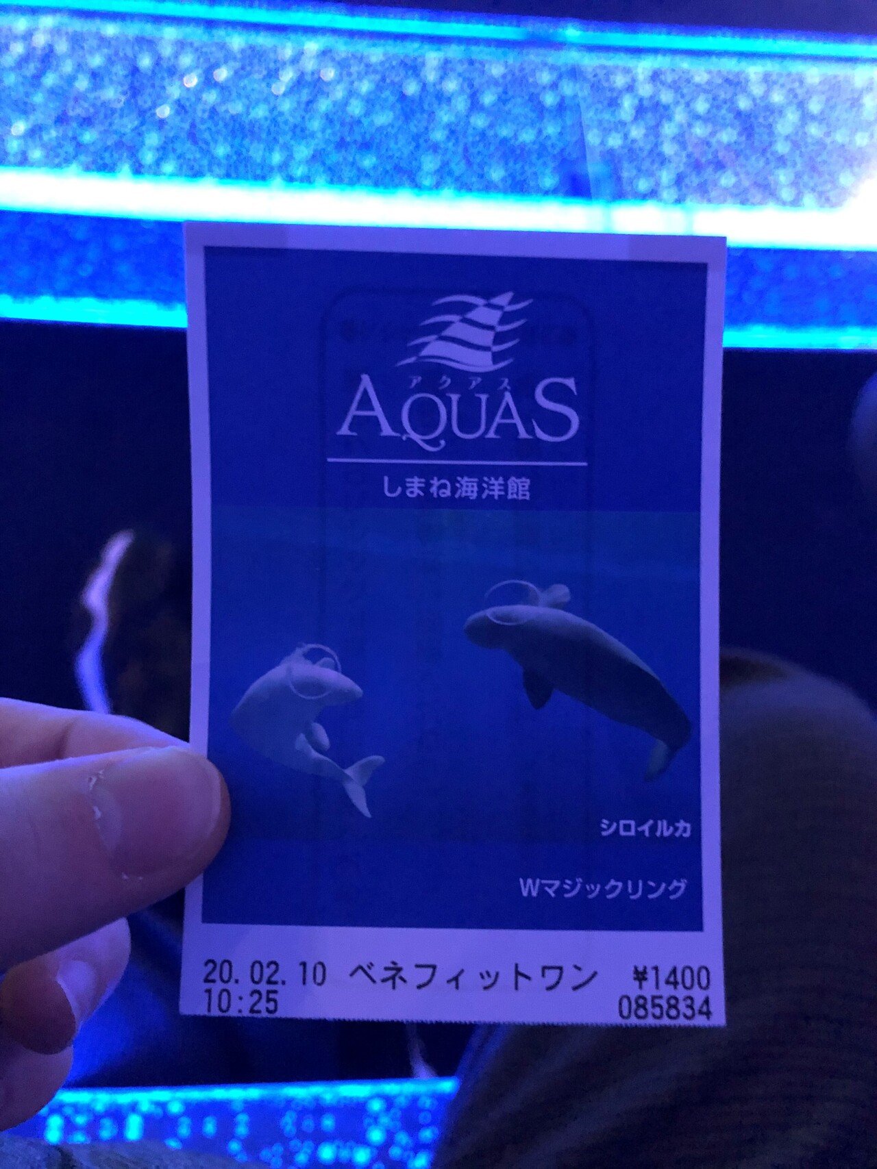 思い出5 しまね海洋館アクアス Haru Note 思い出5 しまね海洋館アクアス Haru Note