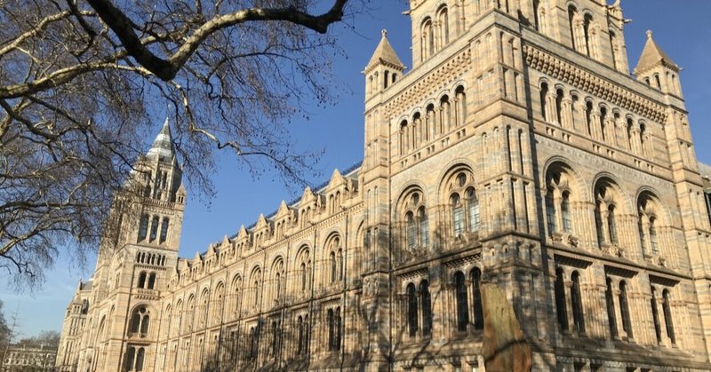 イギリス6日目 自然史博物館 V A美術館 大英博物館 Kurikinton Note