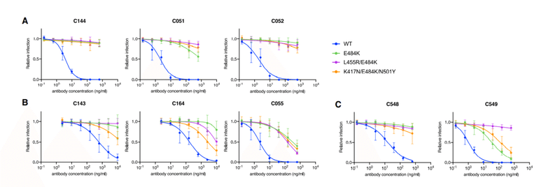 中和抗体の親和性成熟 図4ABC