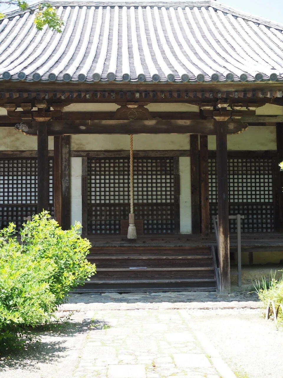画像6