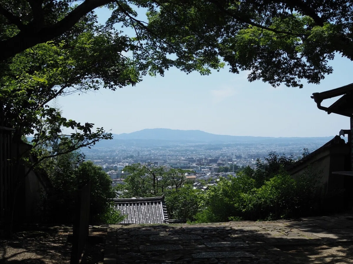 画像7