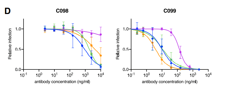 中和抗体の親和性成熟 図4D