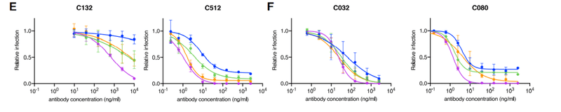 中和抗体の親和性成熟 図4EF