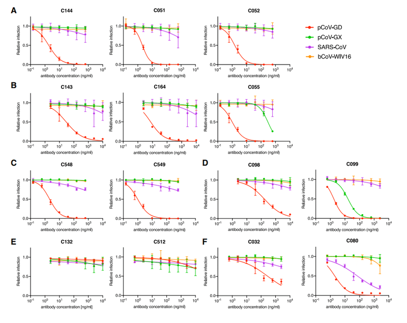 中和抗体の親和性成熟 図5A-F