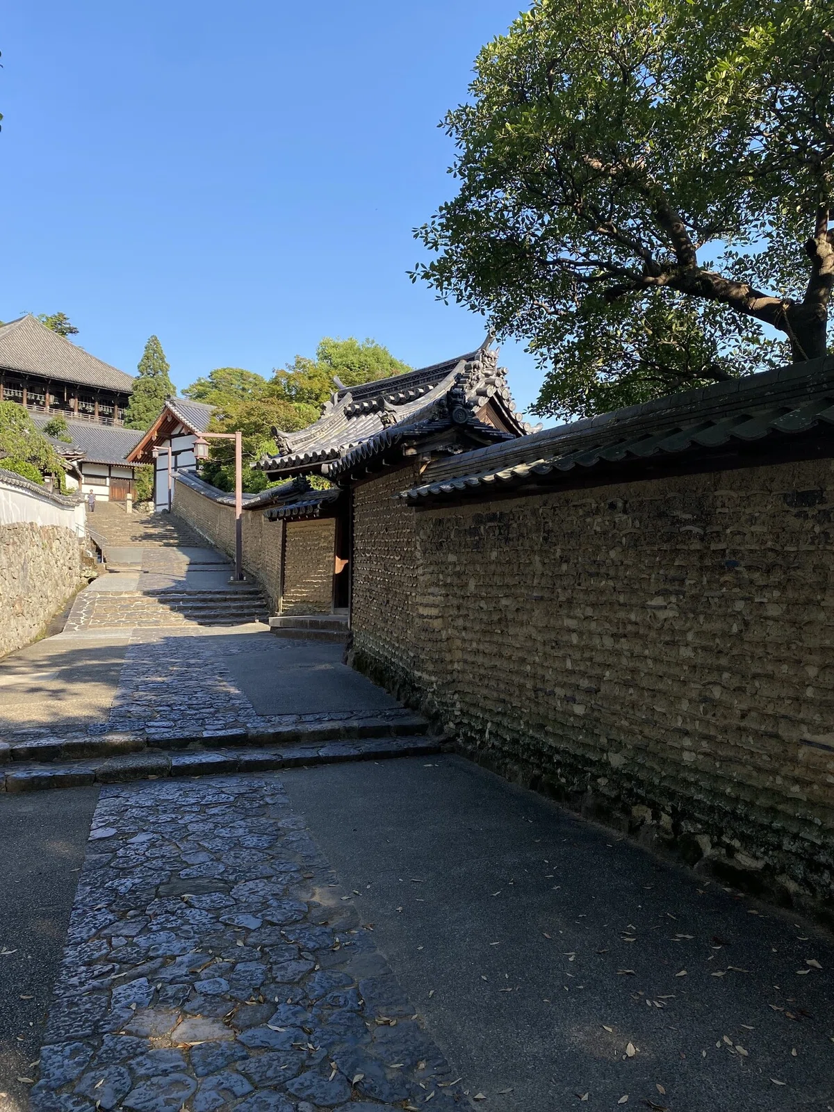 画像17