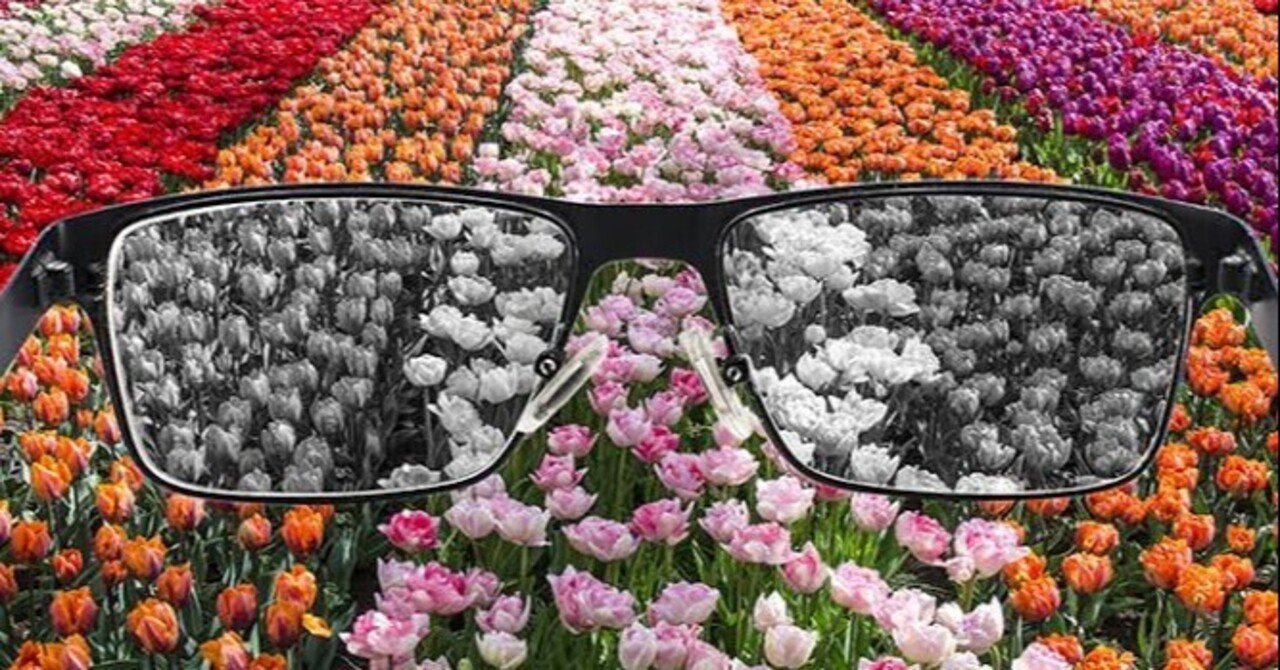 色覚障がい 色覚の多様性について メガネくん 盲学校 特別支援学校からの発信 Note 色覚障がい 色覚の多様性について メガネくん 盲学校 特別支援学校からの発信 Note