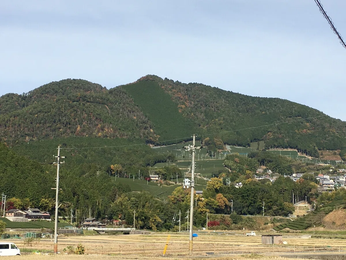 画像1