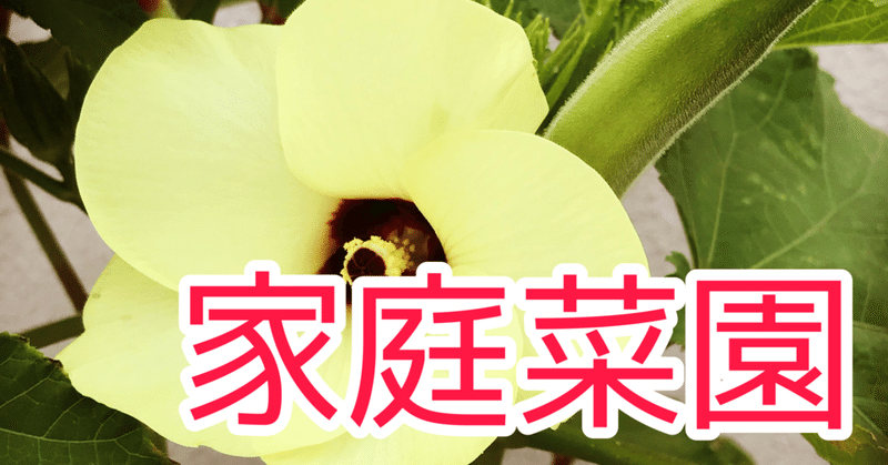 秋冬野菜 の新着タグ記事一覧 Note つくる つながる とどける