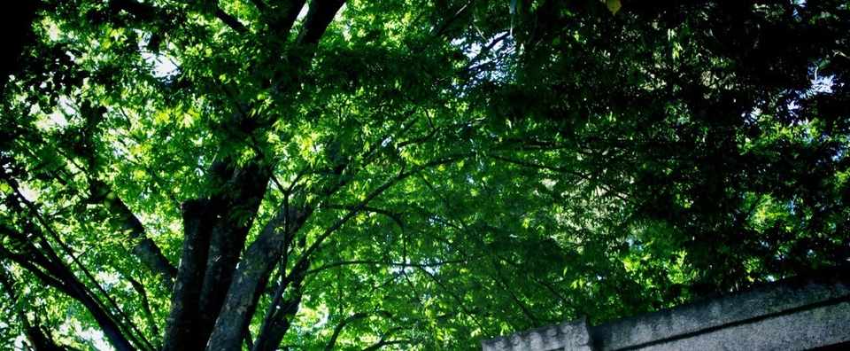 神社で体験した不思議な話 みたらし Note