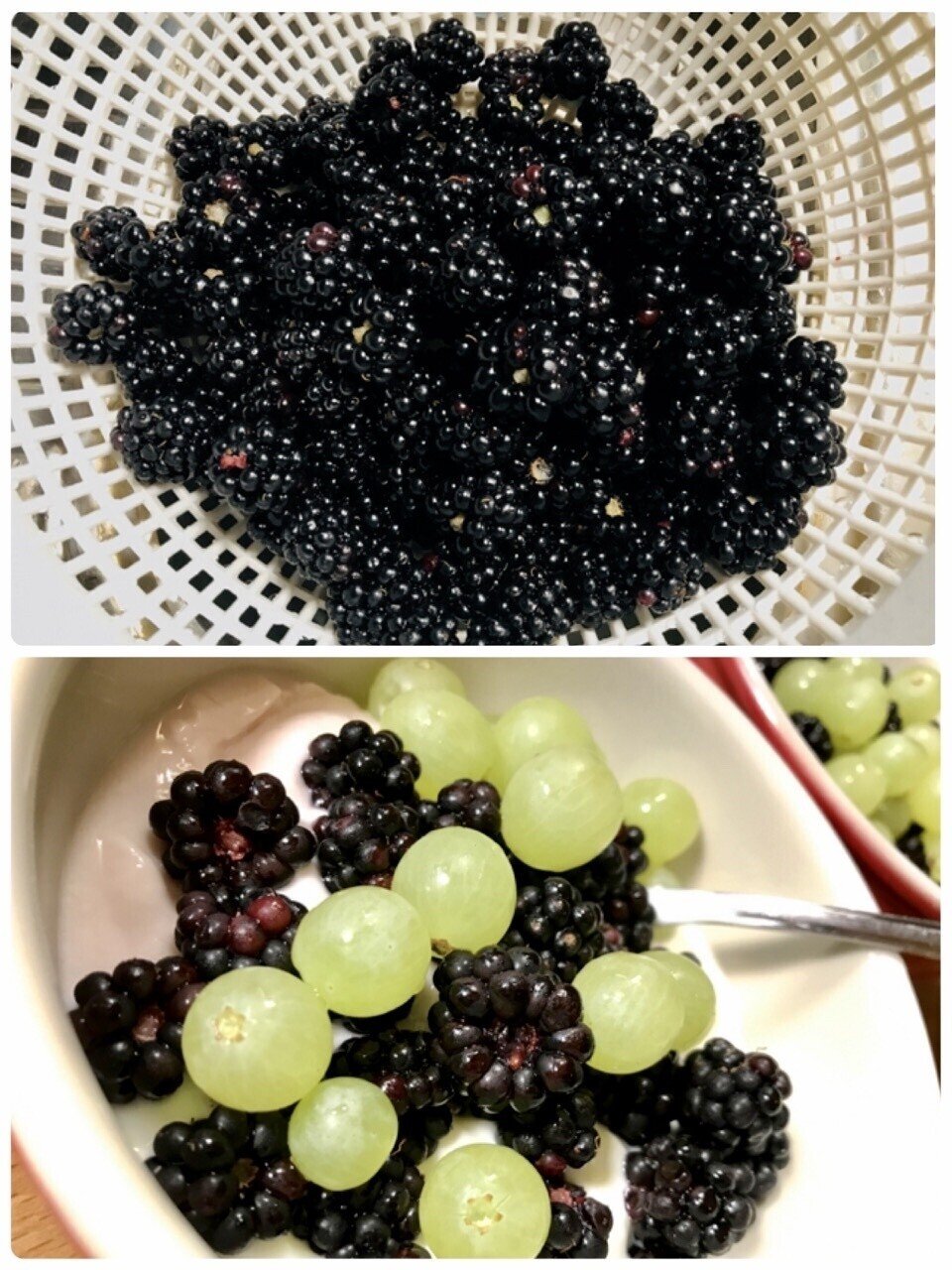 Brombeerenブロンベーレン ブラックベリーが採れた ビヨンビヨン四方八方に伸びまくるトゲトゲの枝が厄介なこちらのベリー 庭に繁殖し過ぎないようにするのが大変 採れたベリーは数時間水につけ置いて 北川 萌子 Note Brombeerenブロンベーレン ブラックベリーが採れた ビヨンビヨン四方八方に伸びまくるトゲトゲの枝が厄介なこちらのベリー 庭に繁殖し過ぎないようにするのが大変 採れたベリーは数時間水につけ置いて 北川 萌子 Note