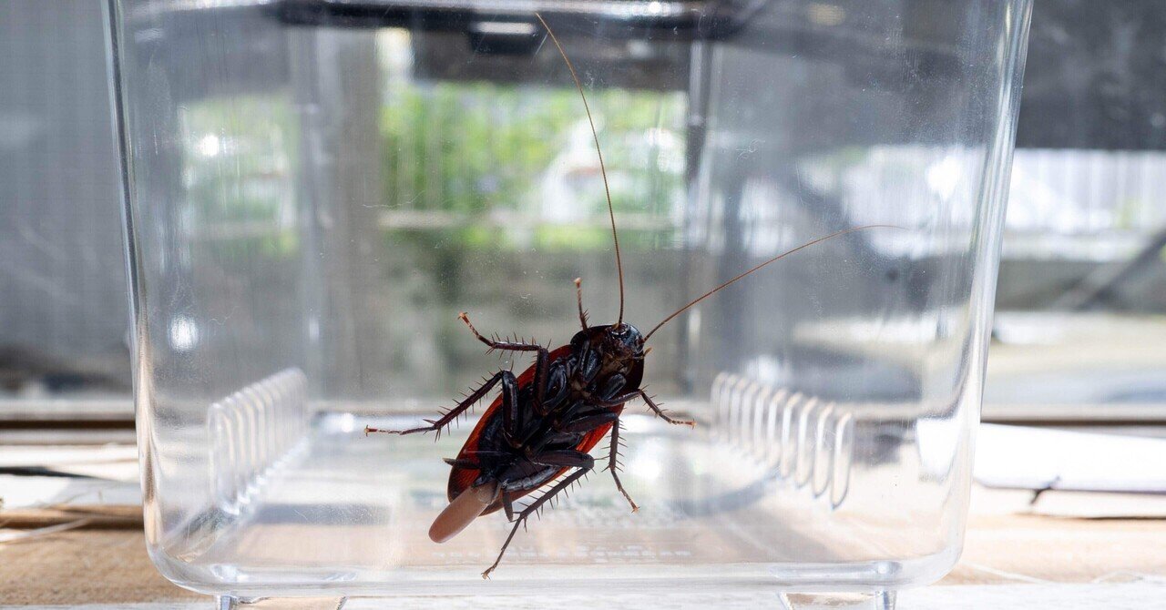 Gq4o71f5akqyem Gq4o71f5akqyem