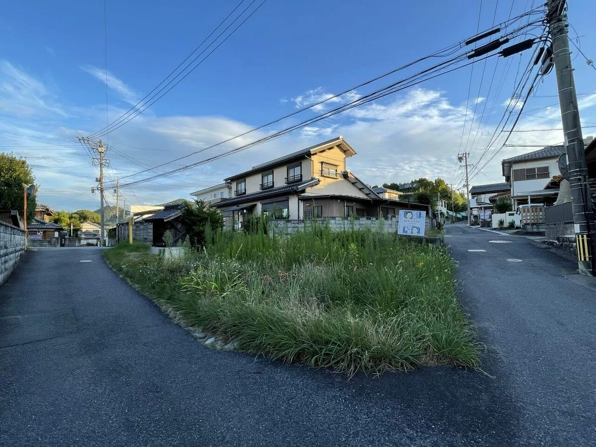 画像5