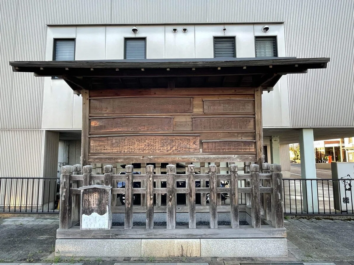 画像7
