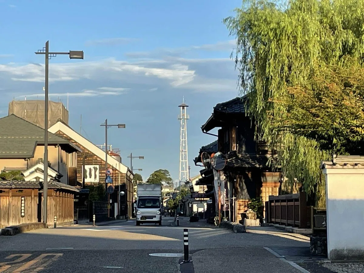 画像8