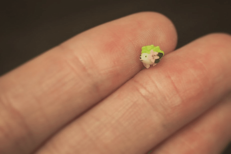 シェイミ Coca Note