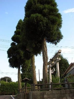 画像2