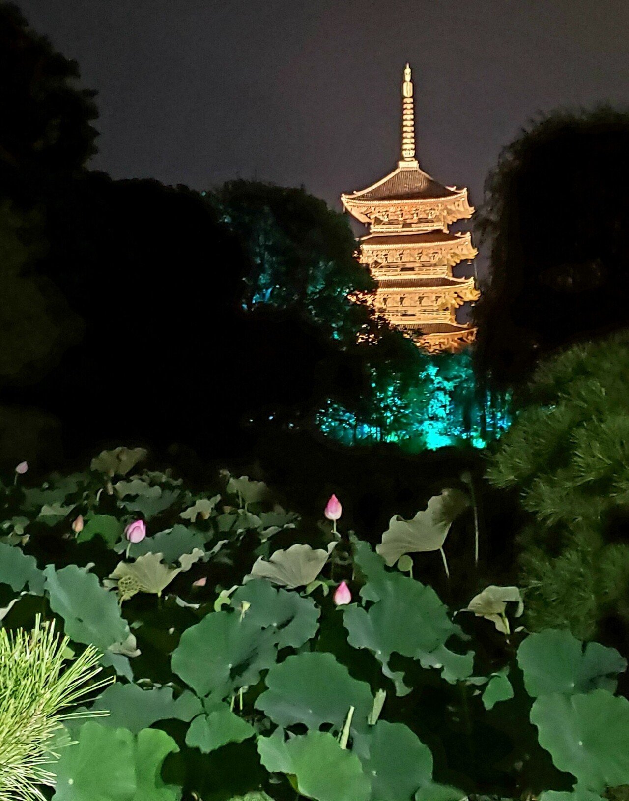 チームラボ 東寺 光の祭 ひばりん Note