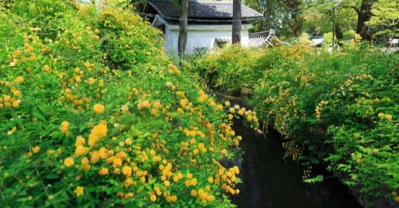 〜麻と神社日和〜⛩メンテナンスの神社とは？