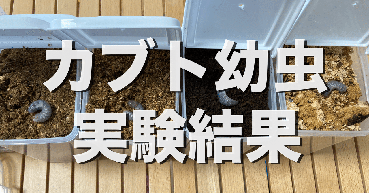 カブトムシ幼虫が大きくなる！発酵マット【たっぷり100リットル】雑虫