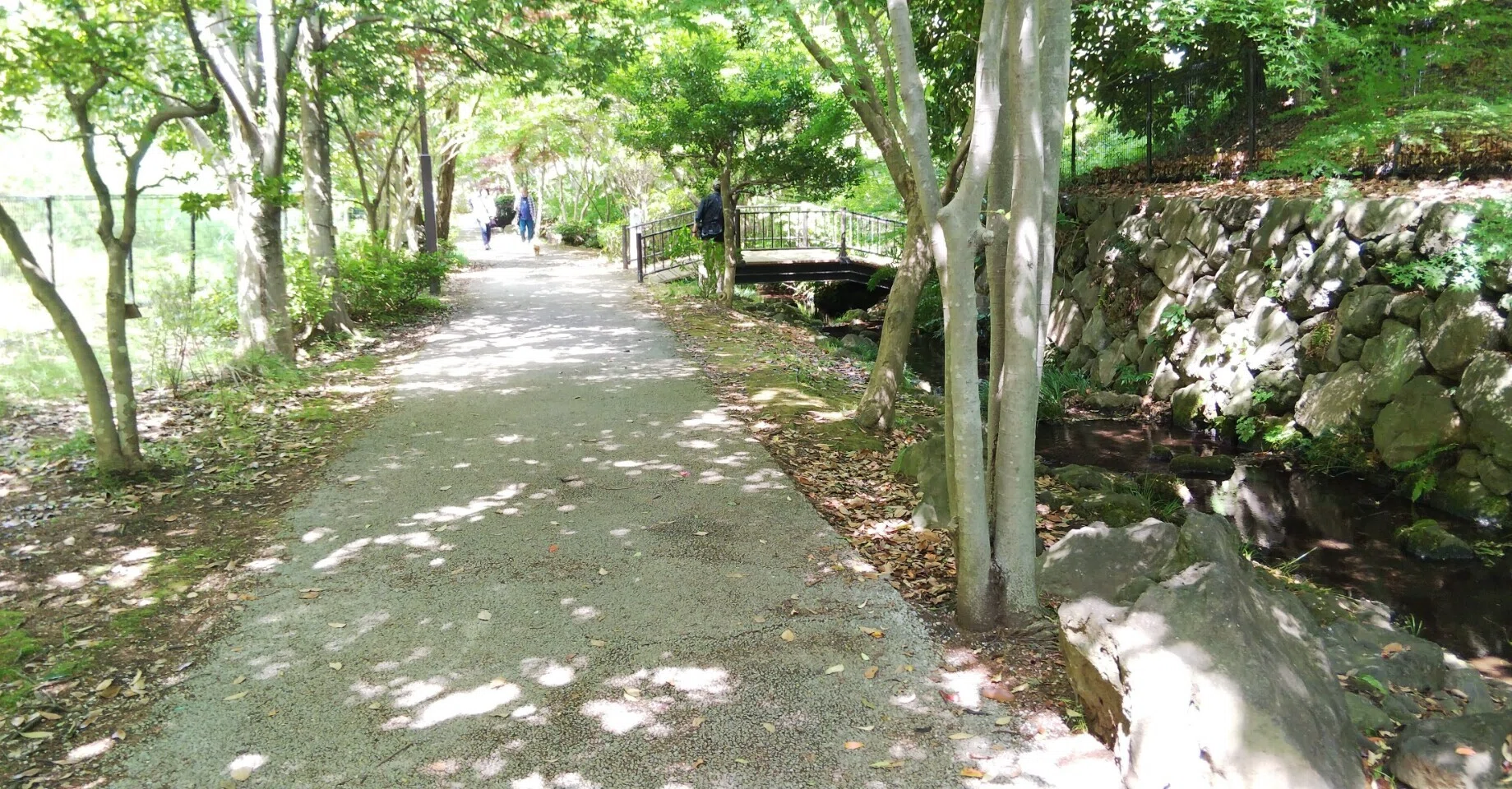 南大沢土木構造物めぐり】No.51 美しい住宅街の中の遊歩道を歩く