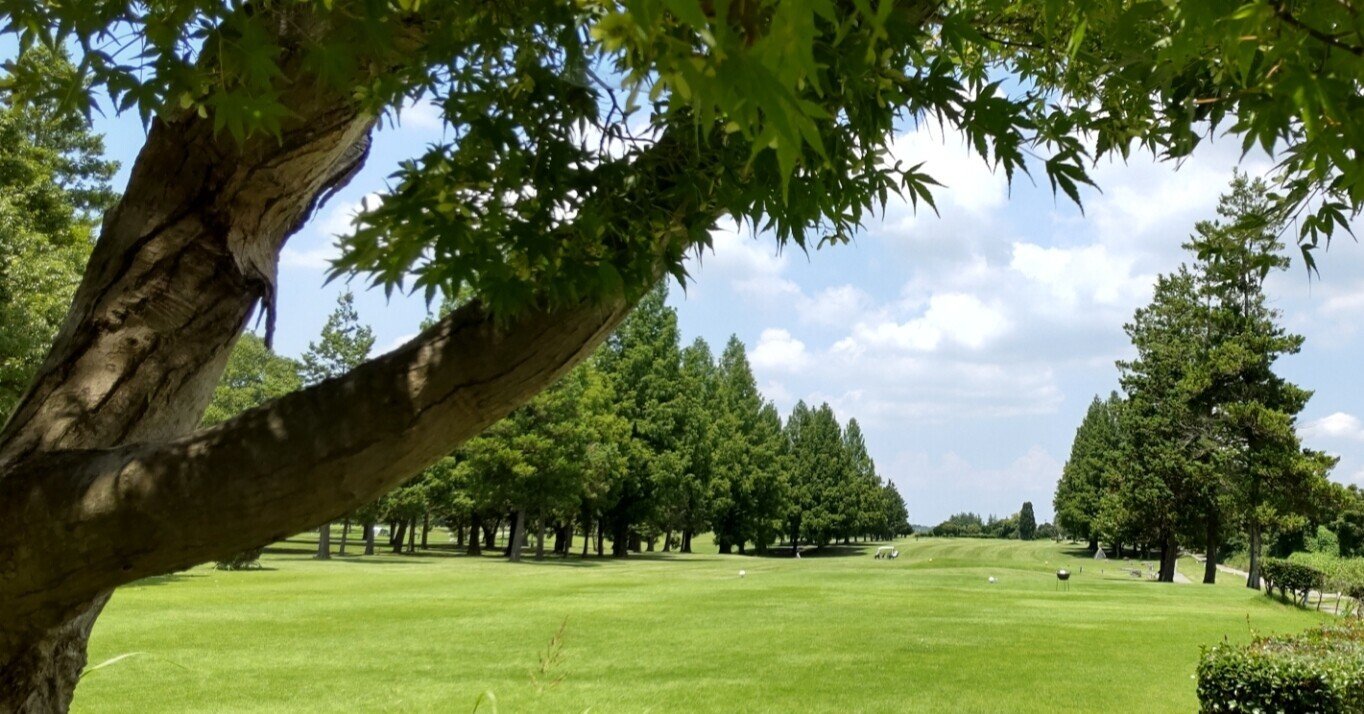 ゴルフ 夏の暑さ対策で大切なこと 橘ダイスケ Note ゴルフ 夏の暑さ対策で大切なこと 橘ダイスケ Note