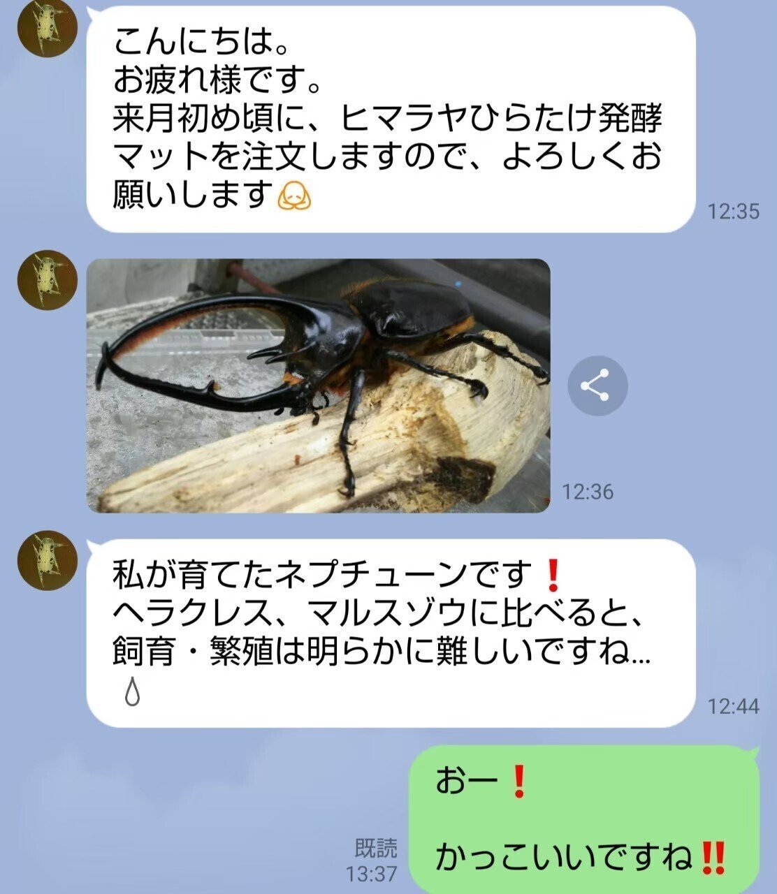 ヒマラヤひらたけ発酵マット|iketeru_1130 ヒマラヤひらたけ発酵マット|iketeru_1130