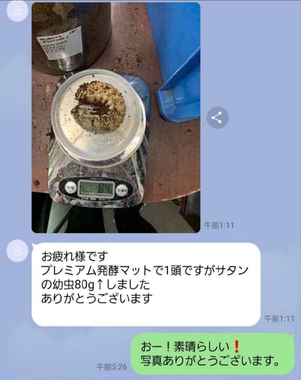 ヒマラヤひらたけ発酵マット|iketeru_1130 ヒマラヤひらたけ発酵マット|iketeru_1130