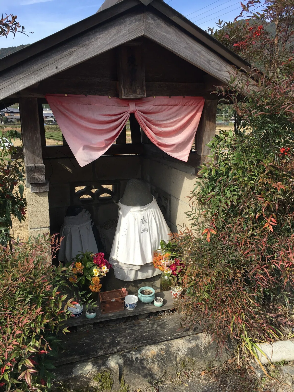 画像7