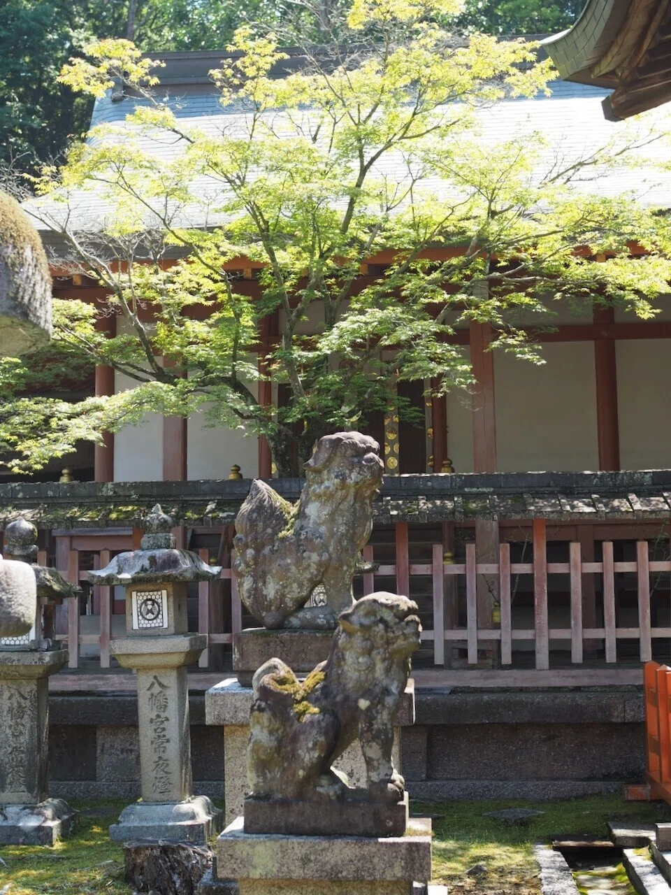 画像4