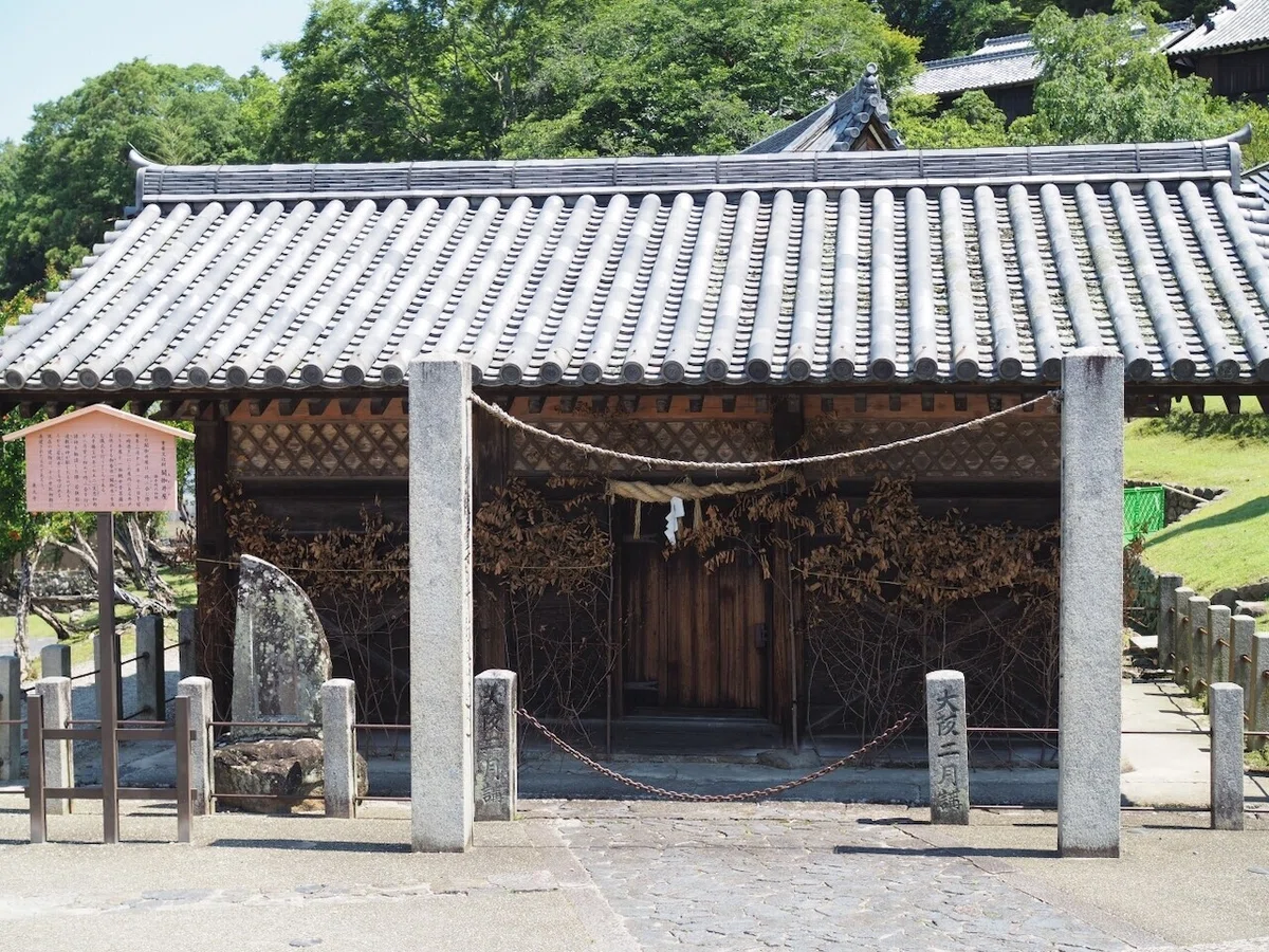 画像6