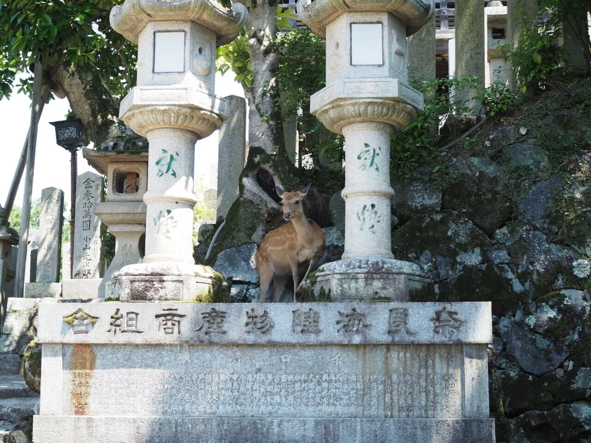 画像7