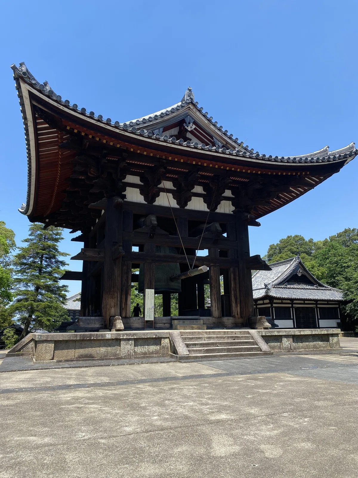 画像8