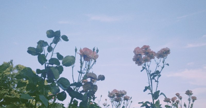 小卒 の新着タグ記事一覧 Note つくる つながる とどける