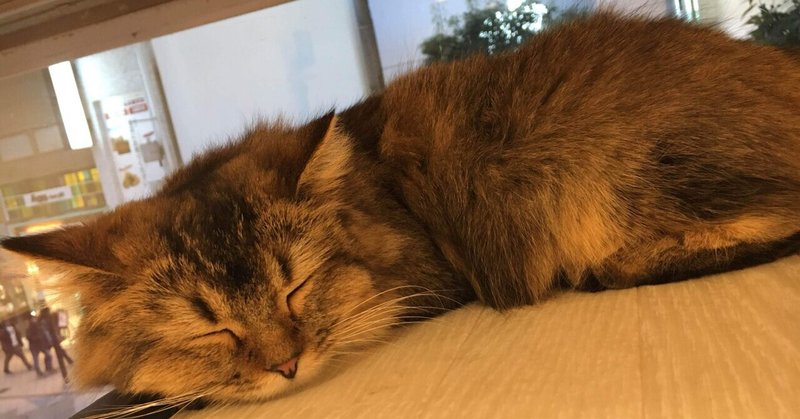 少し前と今の自分について Ayu C Note