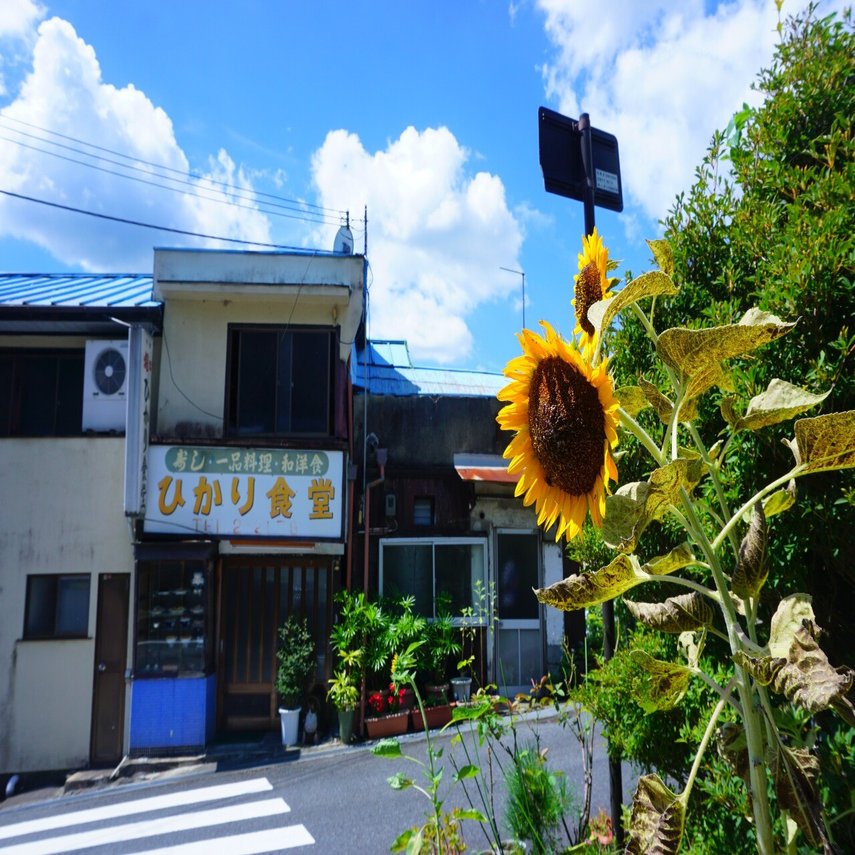 画像 夏っぽい写真 を集めたから見て 大量 ヨッピー Note