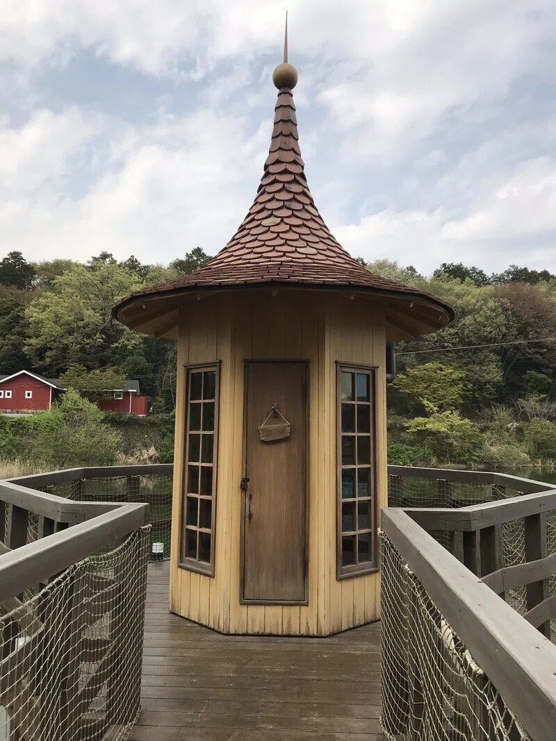 画像6