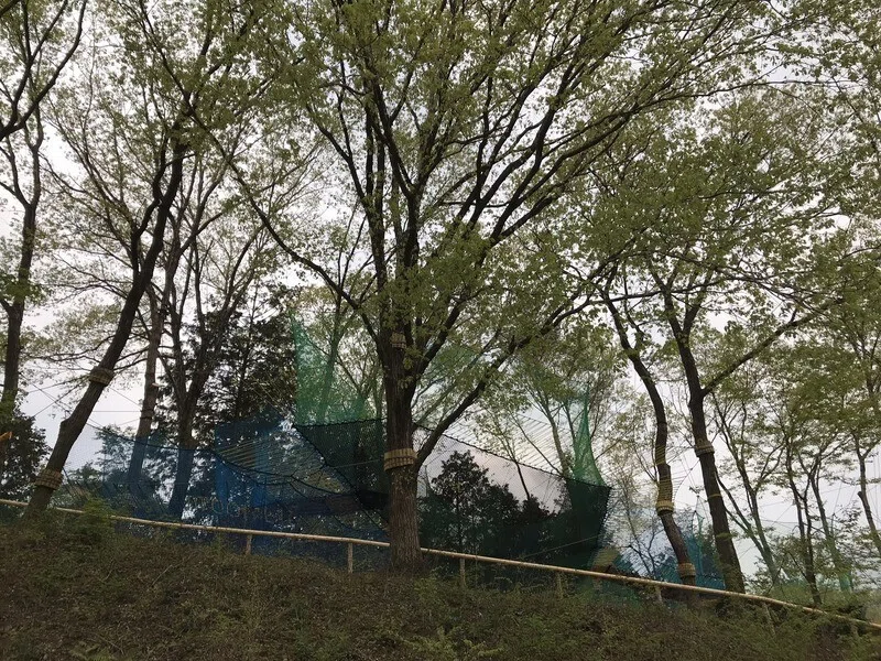 画像17