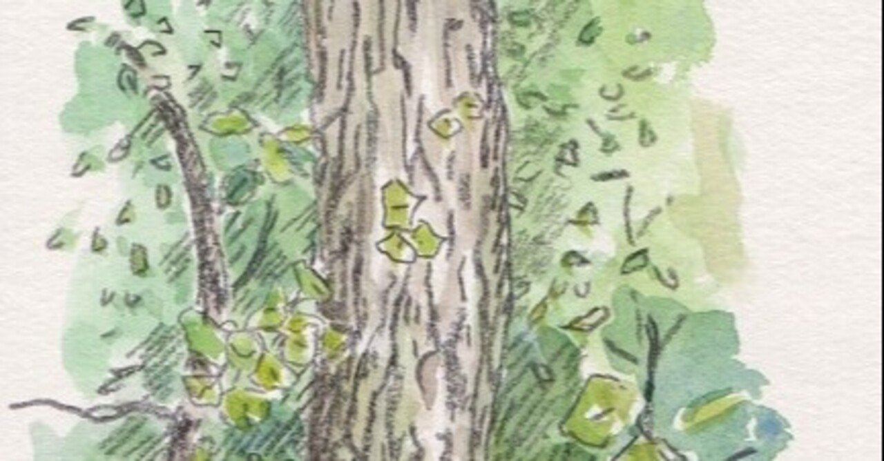 また 樹木を描きました 水彩スケッチ帖 Note