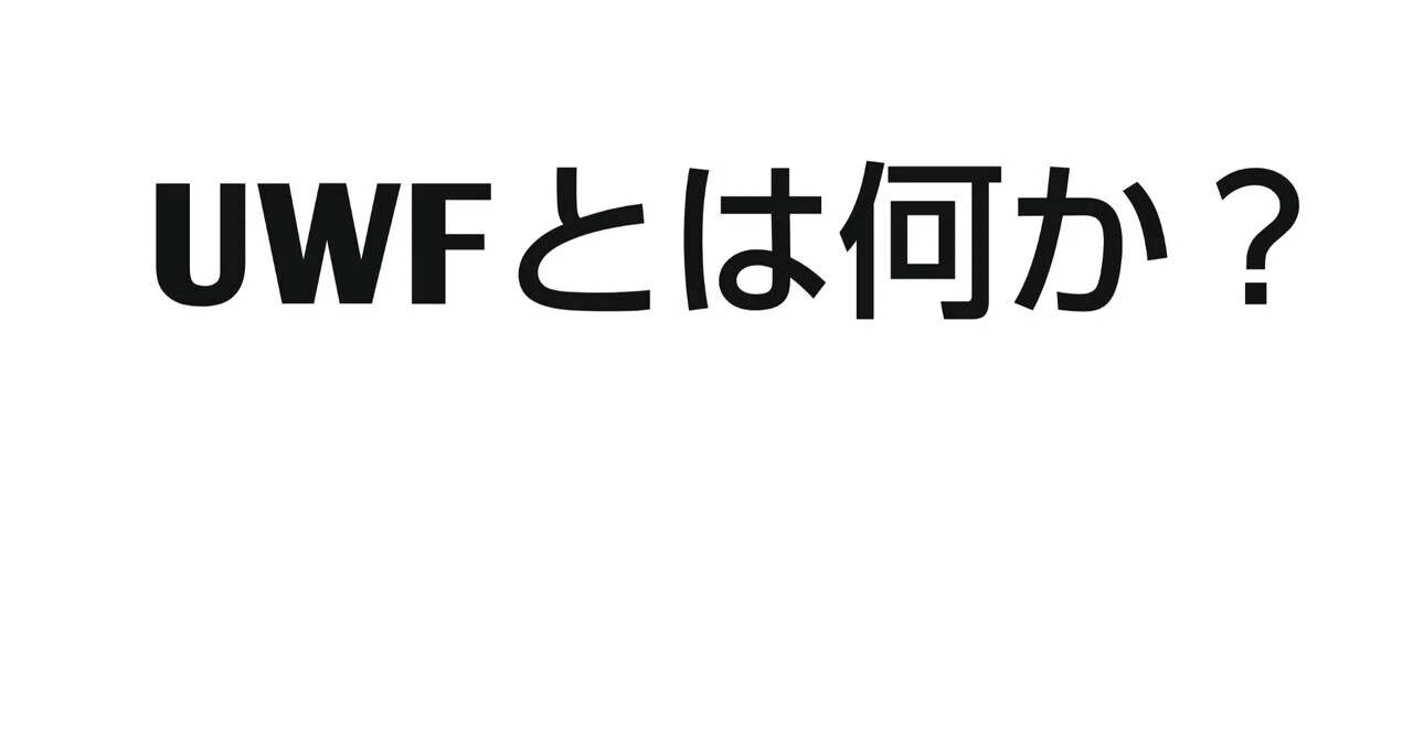 UWFインタープロレスリング世界ヘビー級チャンピオンベルト 揉ま