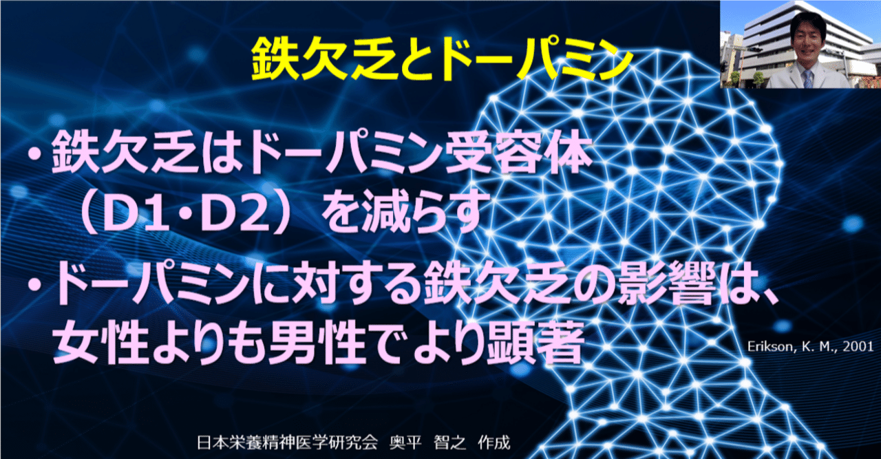 鉄欠乏とドーパミン受容体：鉄の役割は？