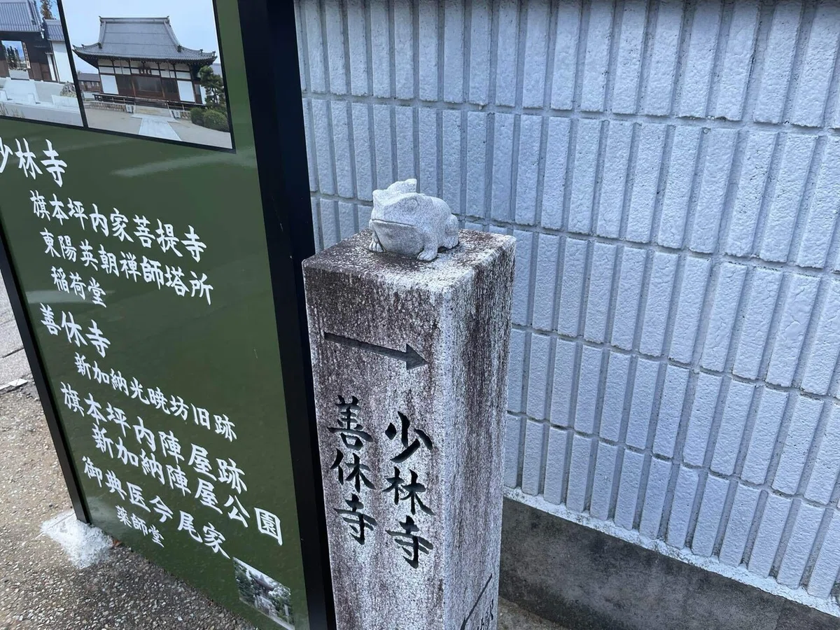 画像74