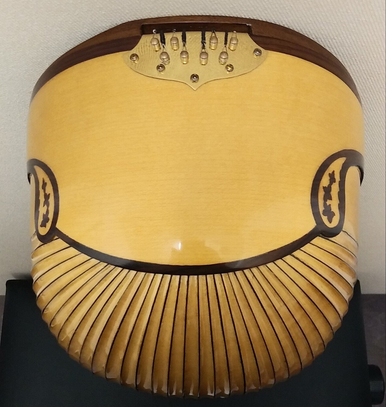マンドリン弾きが眠るとき その7｜山野楽器